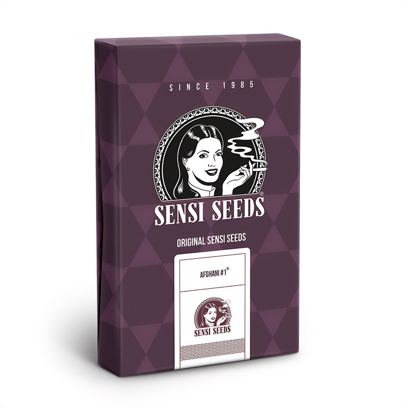 Afghani 1 - Sensi Seeds - Semi Femminizzati, vista 3