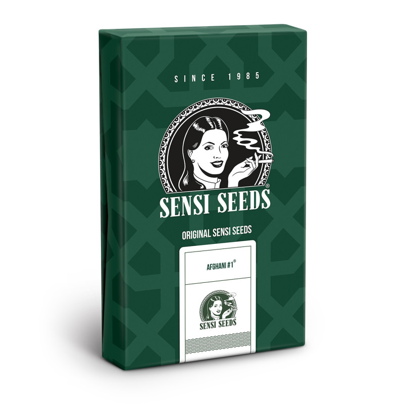 Afghani 1 - Sensi Seeds - Semi Regolari, vista 2