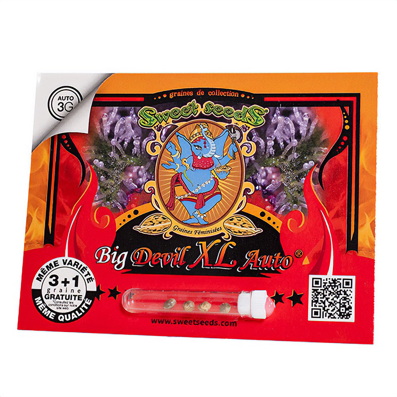 Big Devil XL Auto - Sweet Seeds - Semi Autofiorenti, vista 3