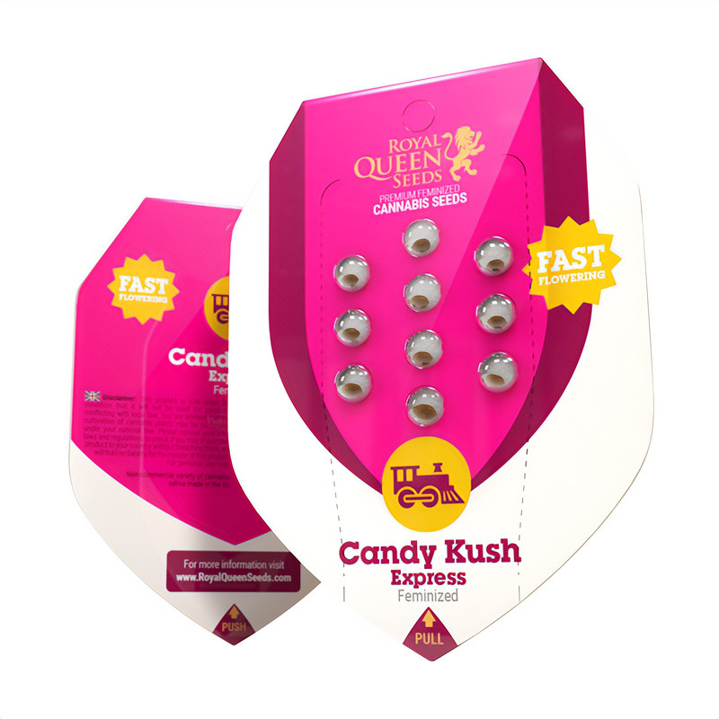 Candy Kush Express Fast Version - Royal Queen Seeds - Semi Femminizzati, vista 4