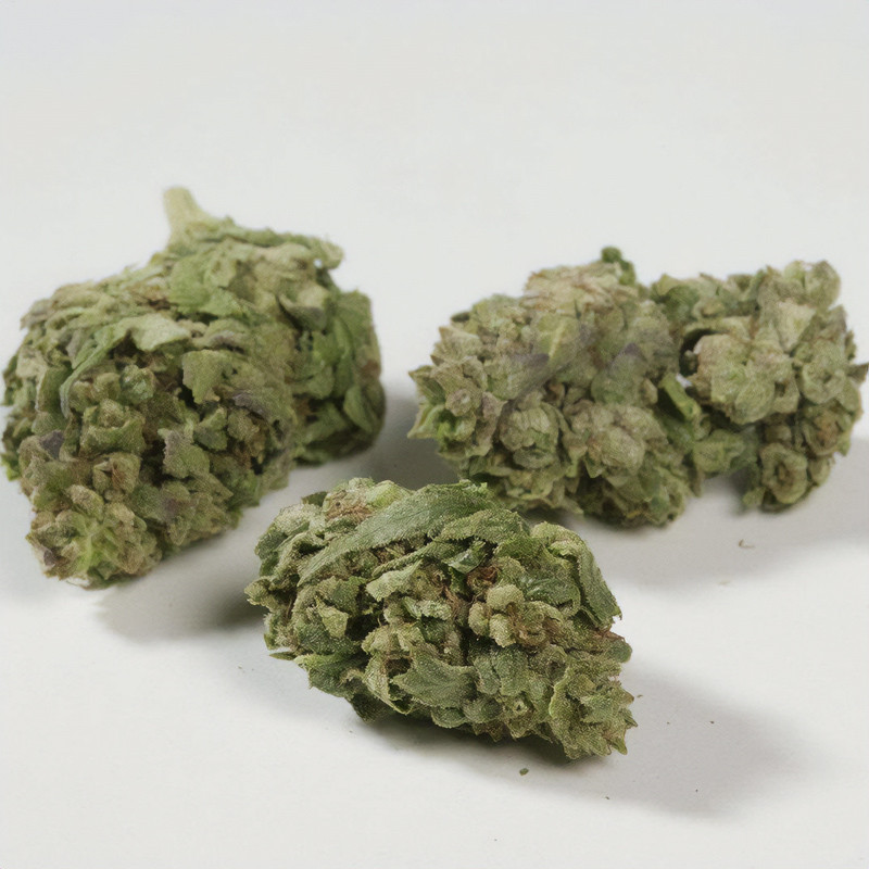 Esmeralda CBG Semi, vista 5