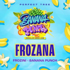 Frozana Perfect Tree Semi Regolari pianta madre