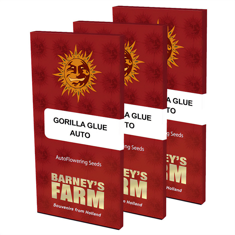 Gorilla Glue Auto - Barney's Farm - Semi Autofiorenti, vista 2