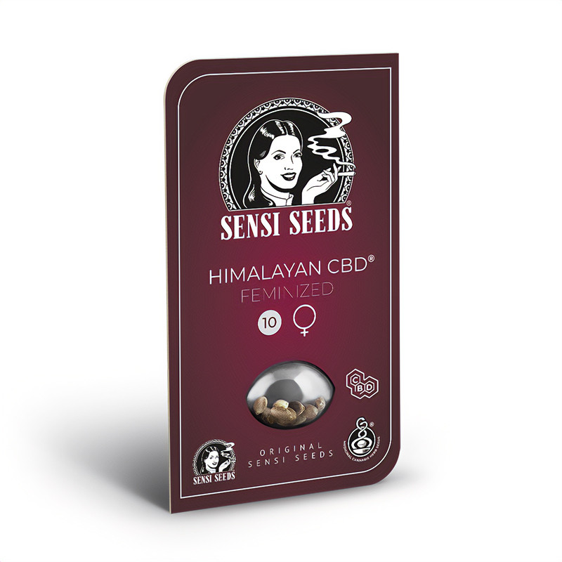Himalayan - Sensi Seeds - Semi CBD, vista 2