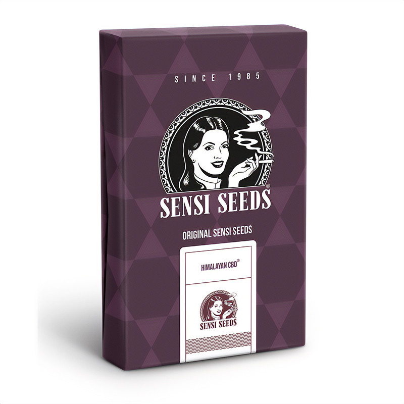 Himalayan - Sensi Seeds - Semi CBD, vista 3