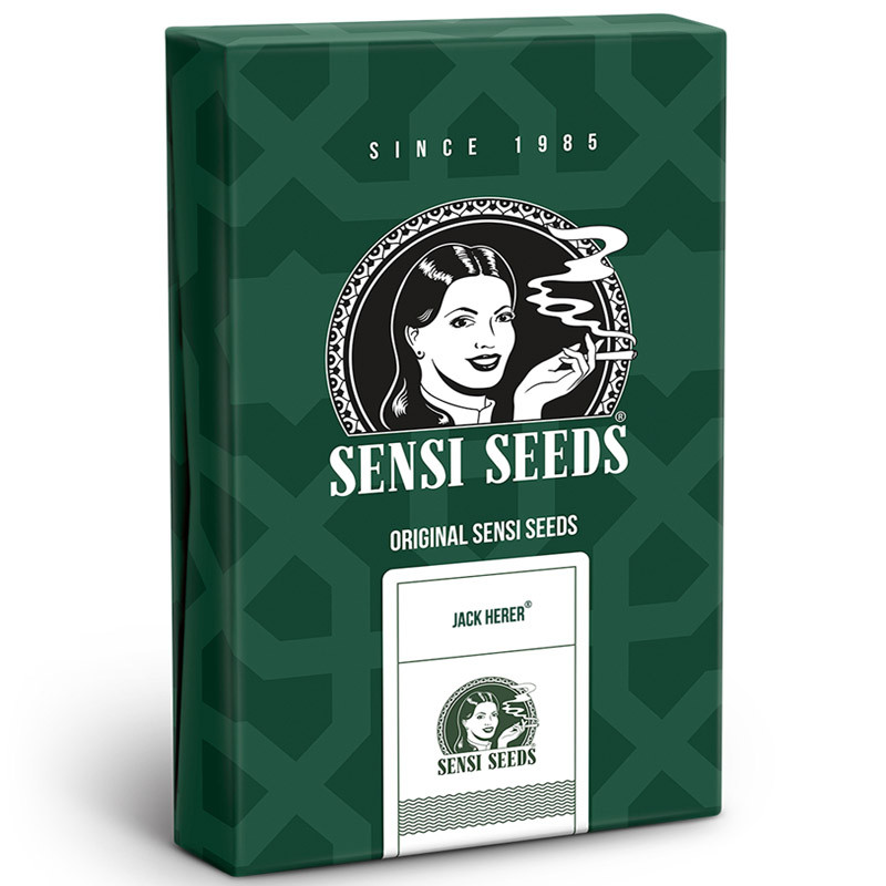 Jack Herer - Sensi Seeds - Semi Regolari, vista 2