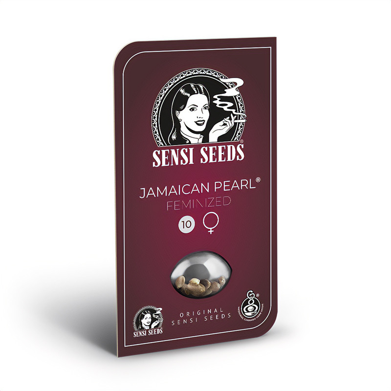 Jamaican Pearl - Sensi Seeds - Semi Femminizzati, vista 2
