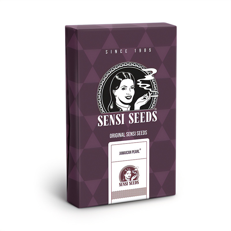 Jamaican Pearl - Sensi Seeds - Semi Femminizzati, vista 3