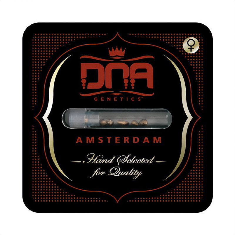 Lemon OG Kush - DNA Genetics - Semi Femminizzati, vista 2