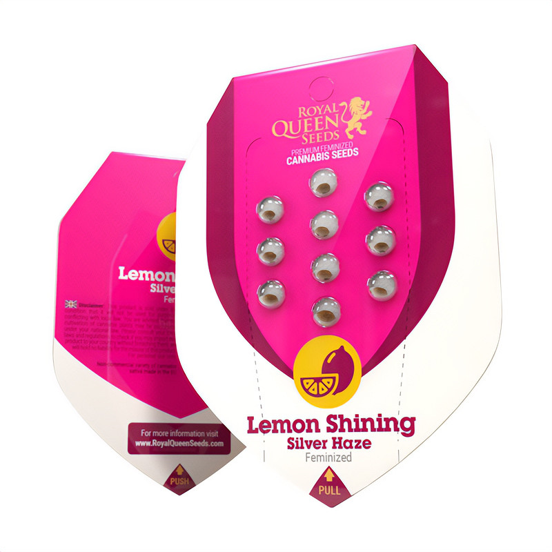 Lemon Shining Silver Haze - Royal Queen Seeds - Semi Femminizzati, vista 2