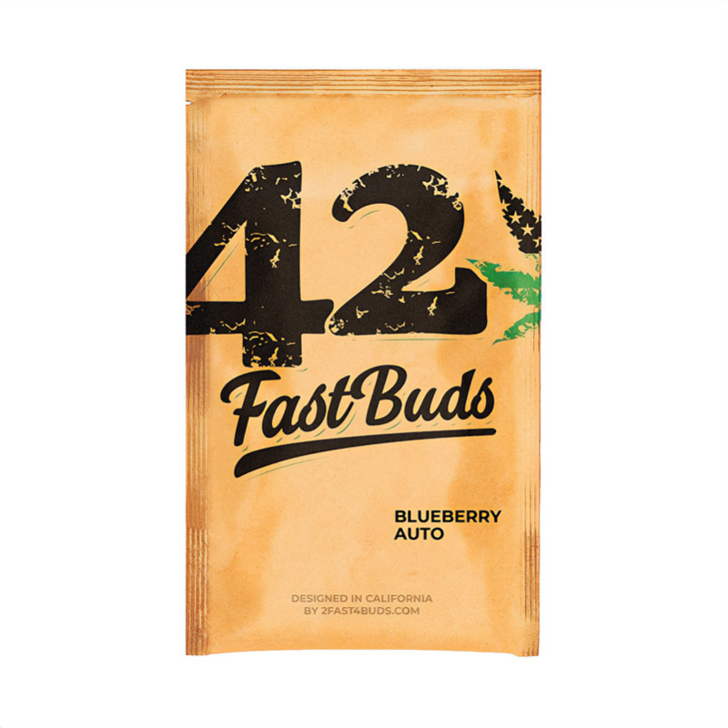 Original Auto Blueberry - FastBuds - Semi Autofiorenti, vista 6