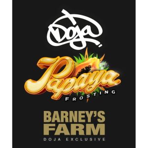 Papaya Frosting Barney's Farm Semi Femminizzati cime resinose