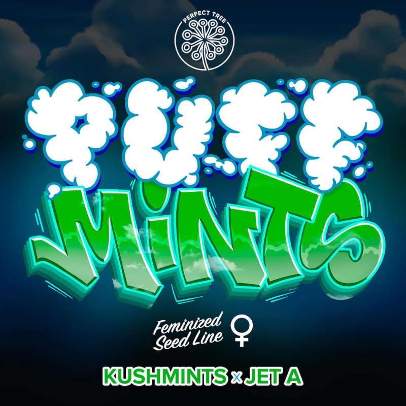 Puff Mints - Perfect Tree - Semi Femminizzati, vista 2