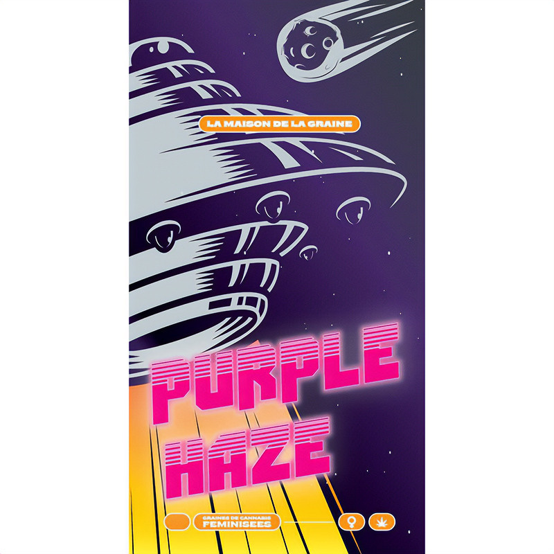 Purple Haze Semi Femminizzati, vista 3