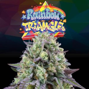 Rainbow Triangle Perfect Tree Semi Femminizzati cime colorate