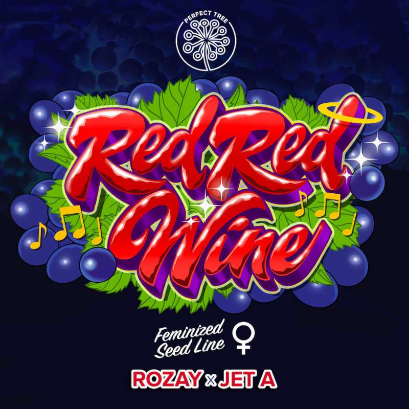 Red Red Wine - Perfect Tree - Semi Femminizzati, vista 2
