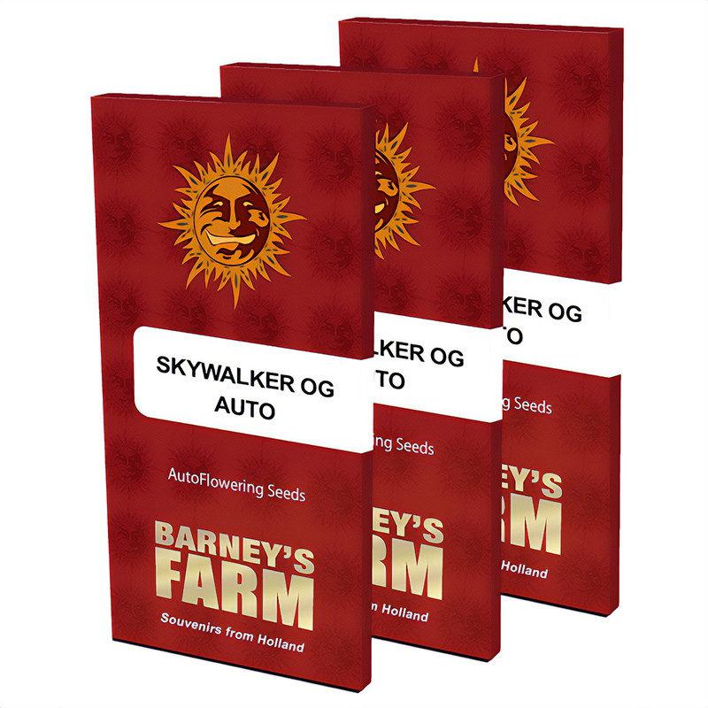 Skywalker OG Auto - Barney's Farm - Semi Autofiorenti, vista 5