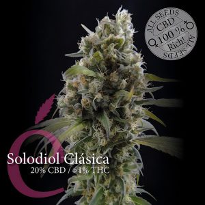 Solodiol Classic Elite Seeds Semi CBD cime resinose