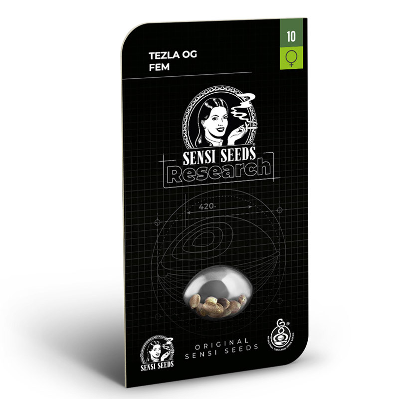 Tezla OG - Sensi Seeds - Semi Femminizzati, vista 2