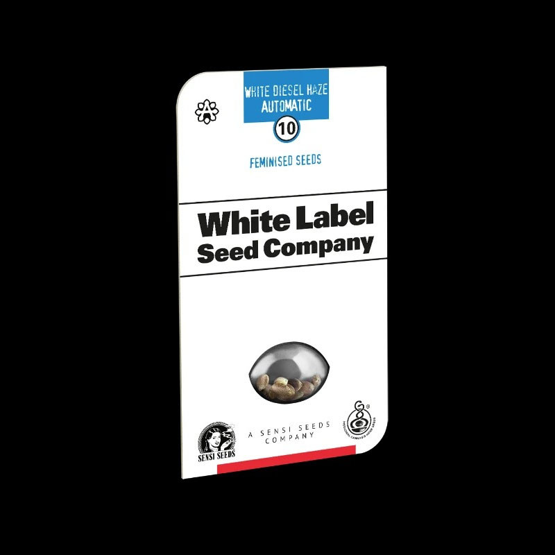 White Diesel Haze Auto - Sensi Seeds - Semi Autofiorenti, vista 2